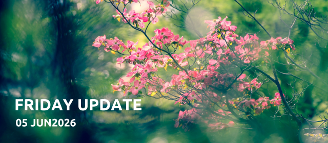 Friday Updates